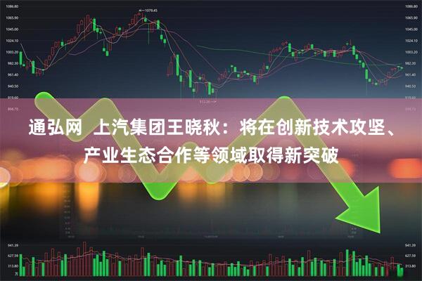 通弘网  上汽集团王晓秋：将在创新技术攻坚、产业生态合作等领域取得新突破