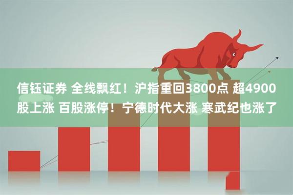 信钰证券 全线飘红！沪指重回3800点 超4900股上涨 百股涨停！宁德时代大涨 寒武纪也涨了